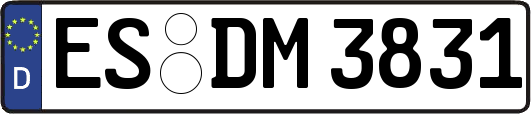 ES-DM3831