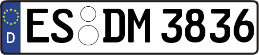 ES-DM3836