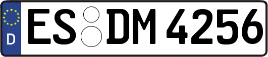 ES-DM4256