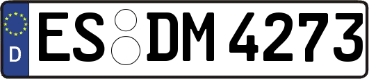 ES-DM4273