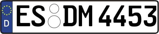ES-DM4453