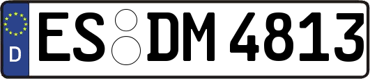 ES-DM4813