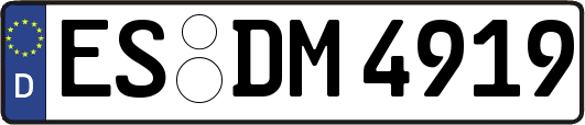 ES-DM4919
