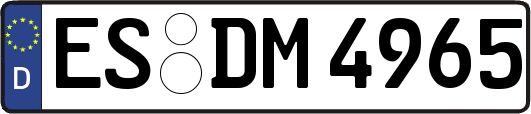 ES-DM4965