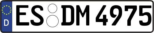 ES-DM4975