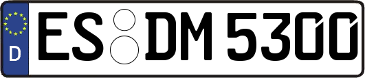 ES-DM5300
