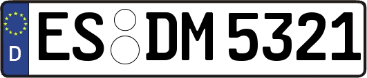ES-DM5321