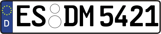 ES-DM5421