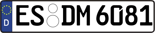 ES-DM6081
