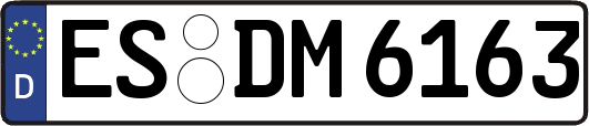 ES-DM6163