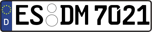 ES-DM7021