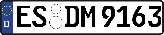 ES-DM9163