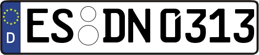 ES-DN0313
