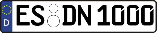 ES-DN1000