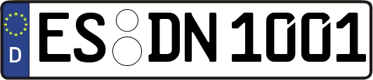 ES-DN1001