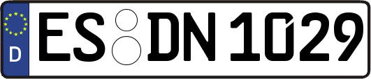 ES-DN1029