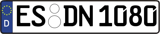 ES-DN1080