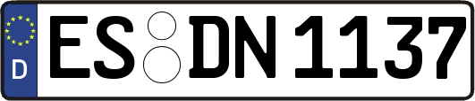 ES-DN1137