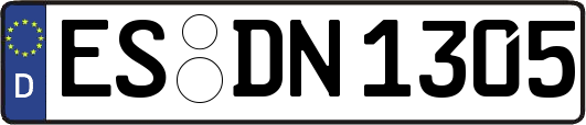 ES-DN1305