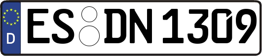 ES-DN1309