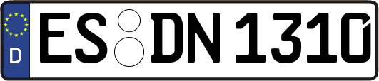 ES-DN1310