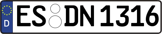 ES-DN1316
