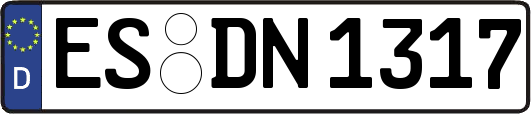 ES-DN1317