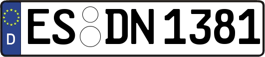 ES-DN1381