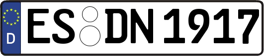 ES-DN1917