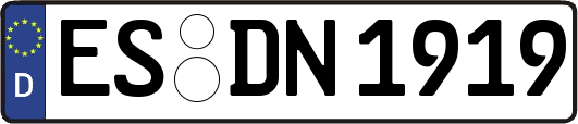 ES-DN1919