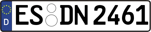 ES-DN2461