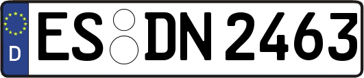 ES-DN2463