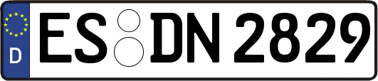 ES-DN2829
