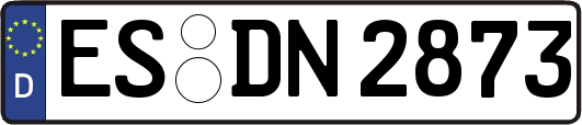 ES-DN2873
