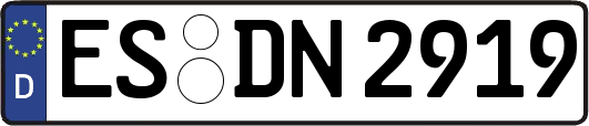 ES-DN2919