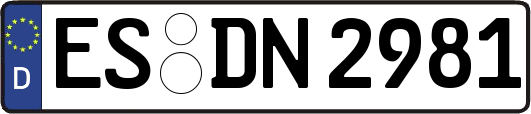 ES-DN2981