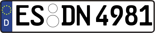 ES-DN4981