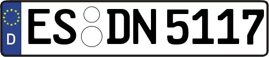 ES-DN5117