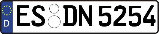 ES-DN5254