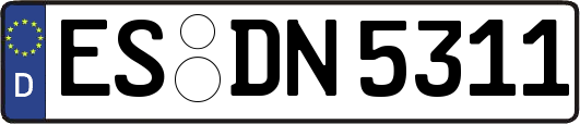 ES-DN5311