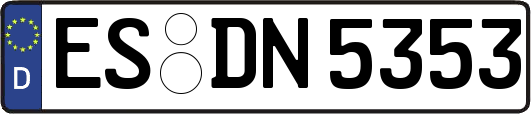 ES-DN5353