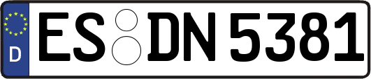 ES-DN5381
