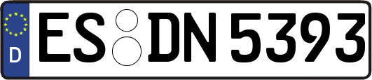 ES-DN5393