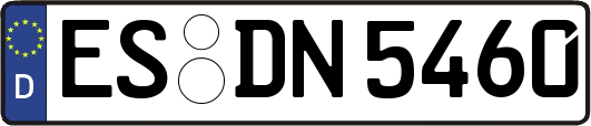ES-DN5460