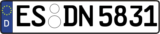 ES-DN5831