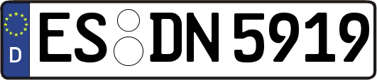 ES-DN5919