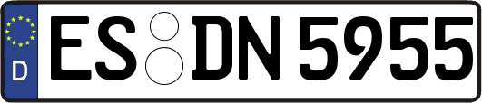 ES-DN5955