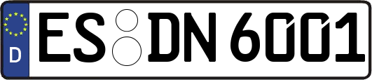ES-DN6001