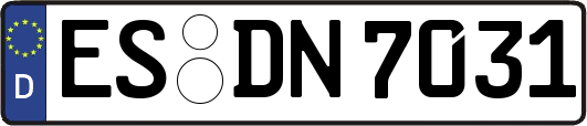 ES-DN7031
