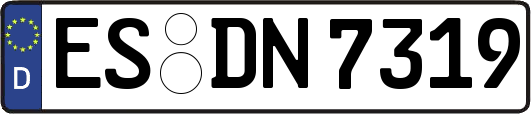 ES-DN7319